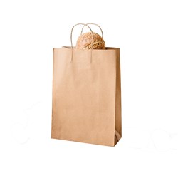 Paper Carry Bag Brown Small Earth Essentials