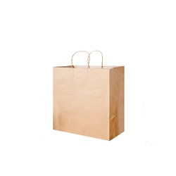 Paper Carry Bag Brown Medium Earth Essentials