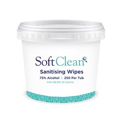 Sanitising 250 Wipes Tub 200x150mm Soft Clean