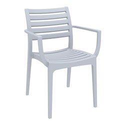 Artemis Arm Chair Silver Grey 450mm Siesta