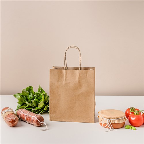 Paper Carry Bag Brown Mini