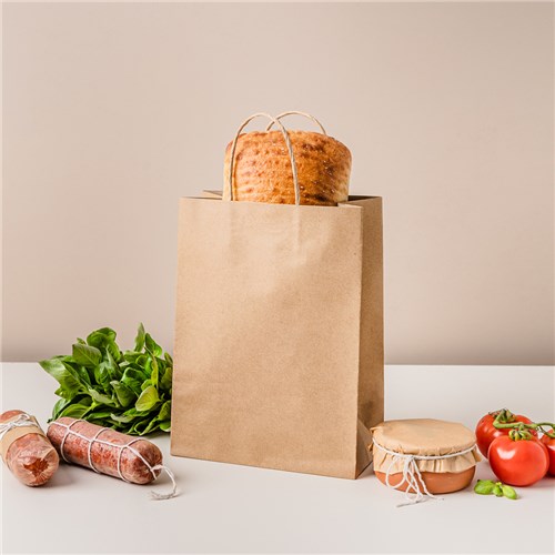 Paper Carry Bag Brown Extra Small