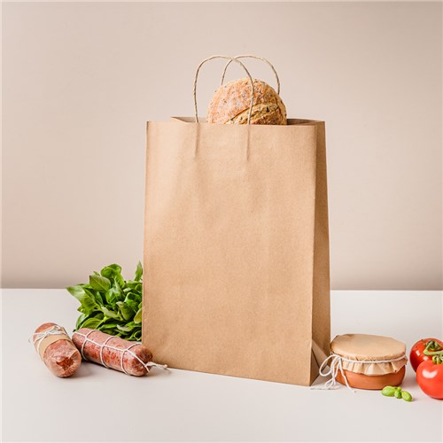 Paper Carry Bag Brown Small