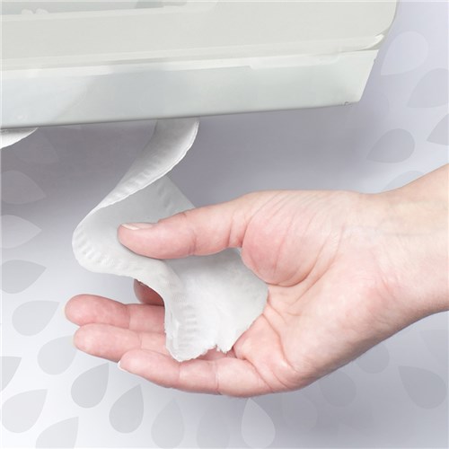 Toilet Rolls White 2ply 400/Sheets