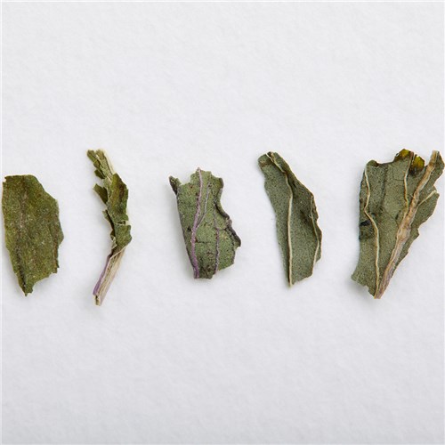 SERENITEA PEPPERMINT TEA LOOSE LEAF TEA