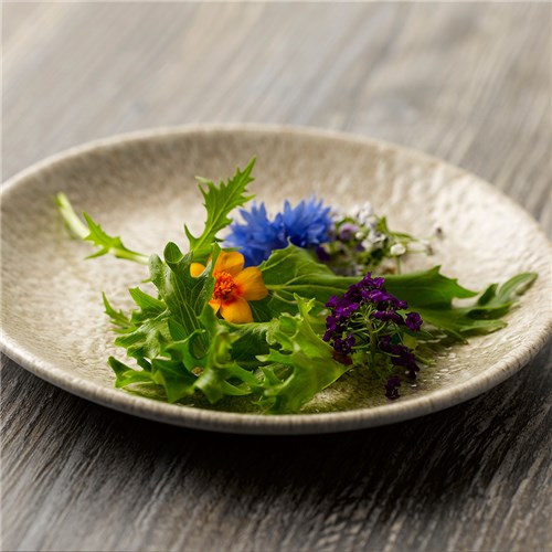 Raku Coupe Bowl Agate Grey 248mm Churchill