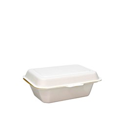 Sugarcane Clam Rectangle Natural 182x136x68mm Earth Essentials